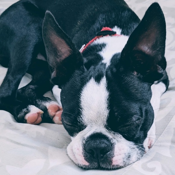 WELCOME TO MY CLOSET! - Picture 3 of 5